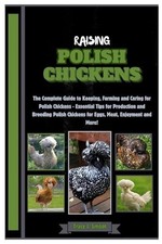 Raising Polish Chickens: The