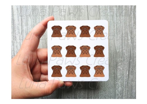 Dogue bordeaux coaster - dogue,