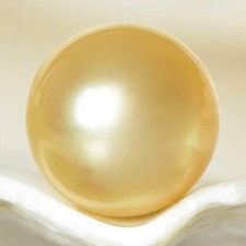 South Sea Pearl Cream Golden