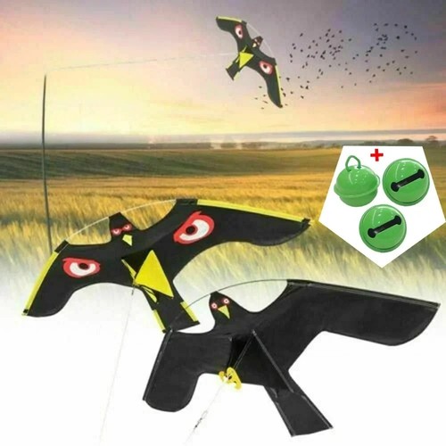 Emulation flying hawk eagle - emulation,