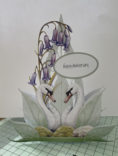 Carnation crafts flourishing - carnation,