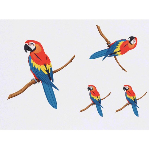 Scarlet macaw on - macaw, a