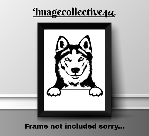 Alaskan husky dog pet a4 - alaskan,