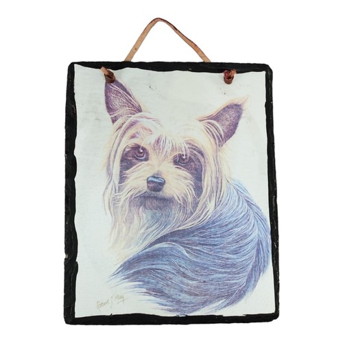 Yorkshire terrier art by - terrier,
