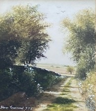 Steven Townsend Original