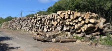 seasoned hardwood logs