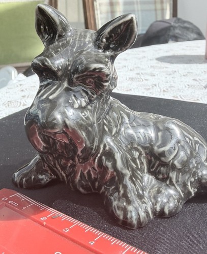 Wade scotch terrier membership - scotch,