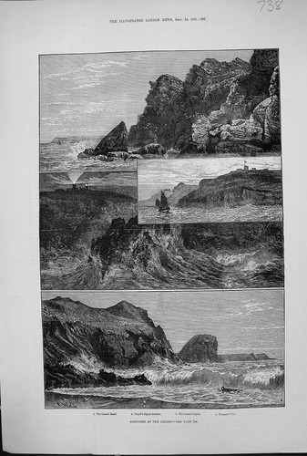Old 1881 lizard head lloyd - 1881,