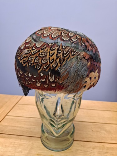 Vintage 1950s feather - 1950s,