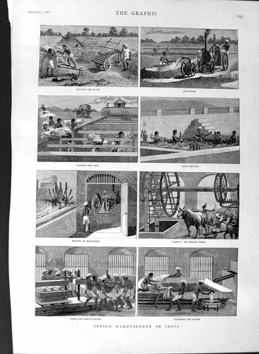 Old antique print 1887 - antique,