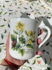 Royal Worcester Black