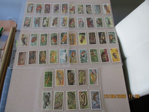 Brooke bond british wildlife - brooke,