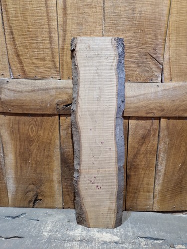 Live edge beech slab - live, (082)