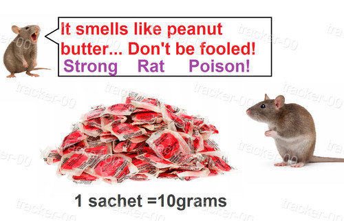 Rodent rat mouse - rat, killer