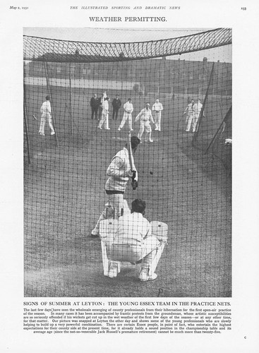 Cricket the young essex - cricket,