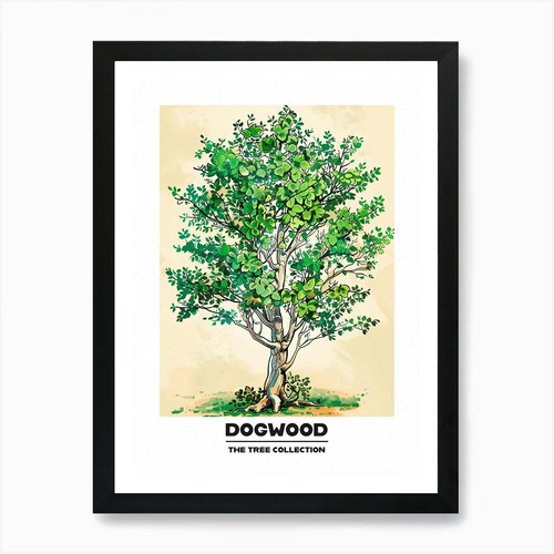 Dogwood tree storybook - tree,