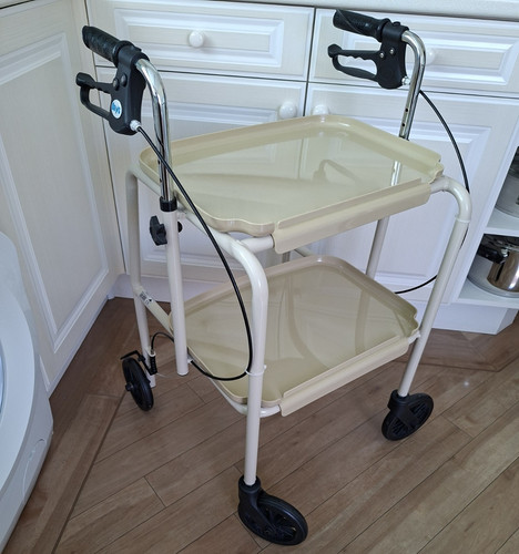 Days wheel walking frame - walking,