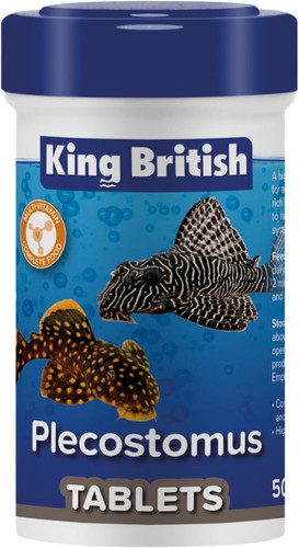 King british plecostomus - king,