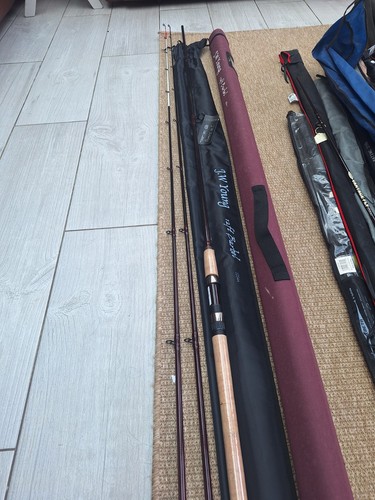 Young 12ft barbel rod - young,