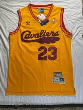 LeBron James 23 Cleveland
