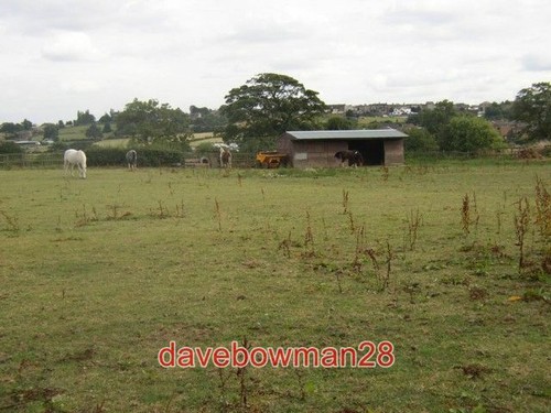 Photo stable off wellands - stable,