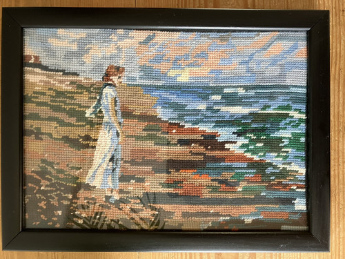 Needlepoint tapestry framed