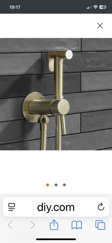 Brushed gold bathroom toilet - brushed,