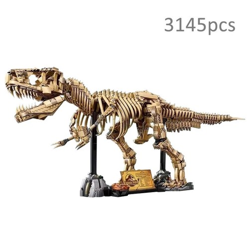 Dinosaur fossils - dinosaur,