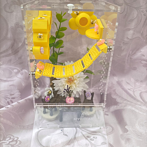 Jumping spider enclosure - jumping,