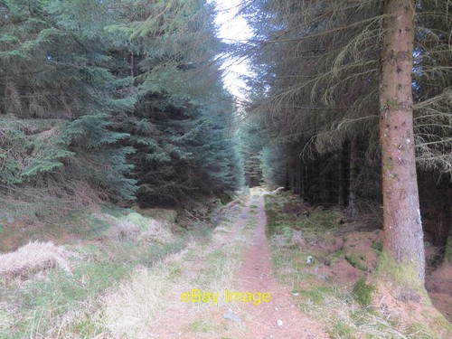 Photo 12x8 mountain bike - 12x8,