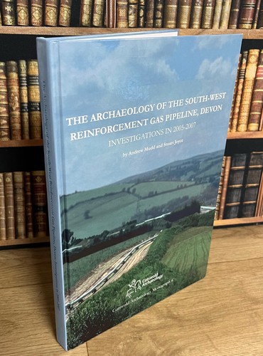 The archaeology - archaeology, of