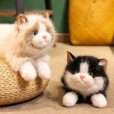 Voiced Ragdoll Cat Plush Doll