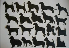 12 DOG  ASSORTED A - C BREEDS