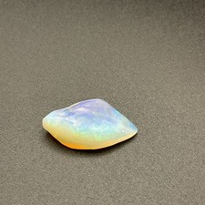 Australian Fossil Opal Shell