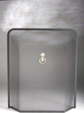 Stylish Enclosed Black Fire