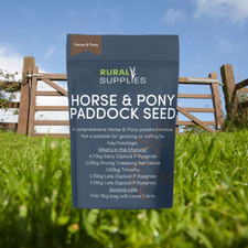 Horse & Pony Paddock Grass