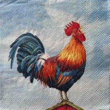 2 x cocktail paper napkins for