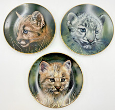 Princeton Gallery 'Cubs Of The