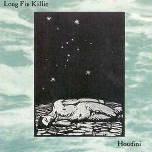 Long fin killie - long, houdini