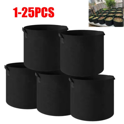 25xlarge plant grow - plant, bags