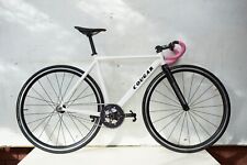 Custom Youth Track Bike Fixie