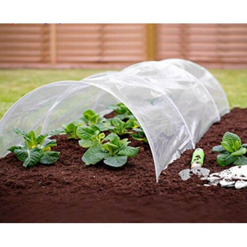 Polythene cover grow - polythene,