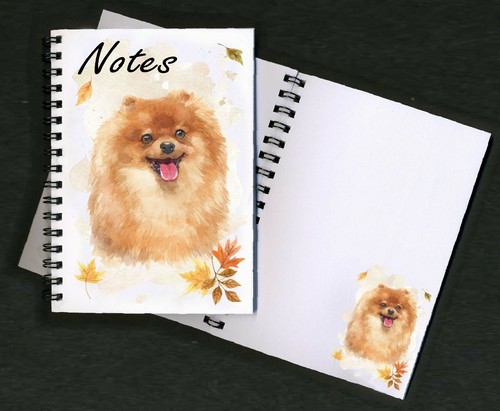 Pomeranian dog - pomeranian,