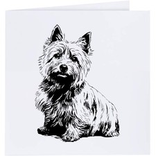 'Norwich Terrier Portrait'
