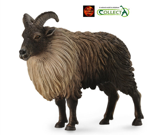 Himalayan tahr wild - tahr,