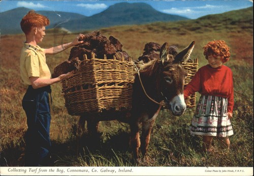 Vintage john hinde - john,