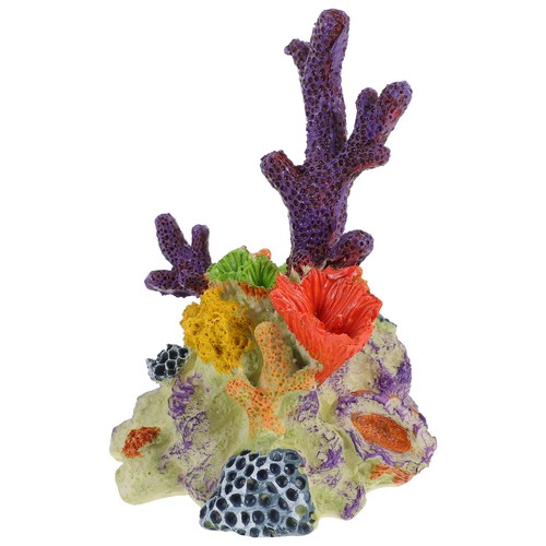 Tropical fish tank - ,