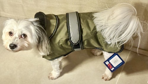 Danish design dog - danish,