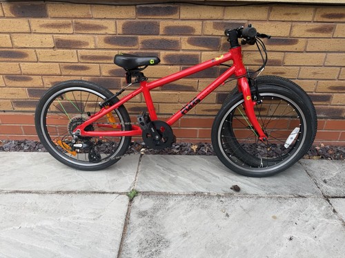 Frog children bike - children's,