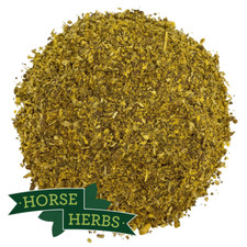 Horse Herbs Healthy Daily